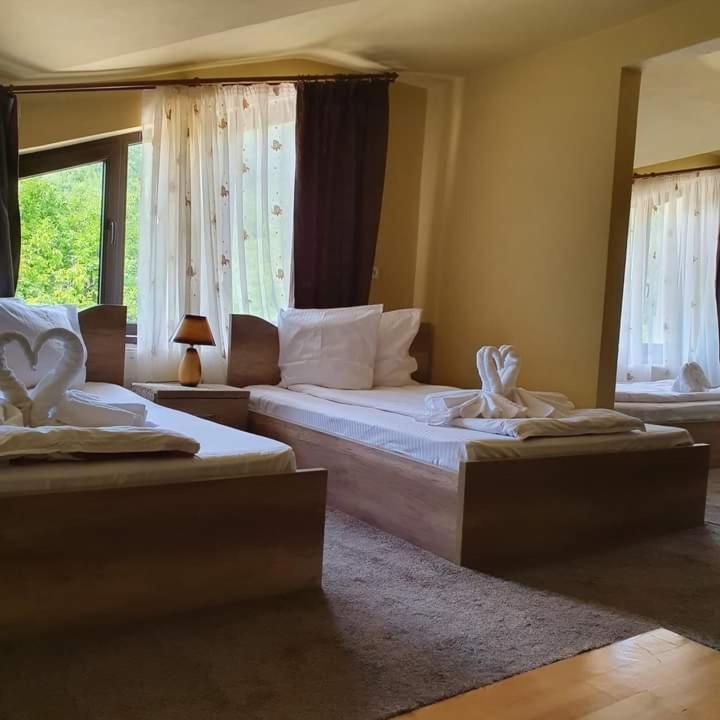 Pensiunea Mirela Pestera Ursilor Chiscau Buitenkant foto