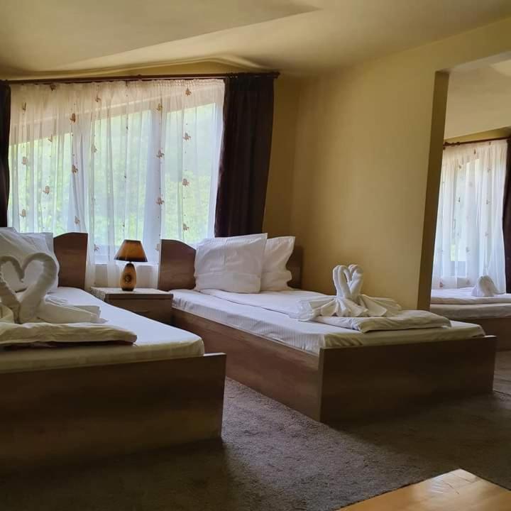 Pensiunea Mirela Pestera Ursilor Chiscau Buitenkant foto