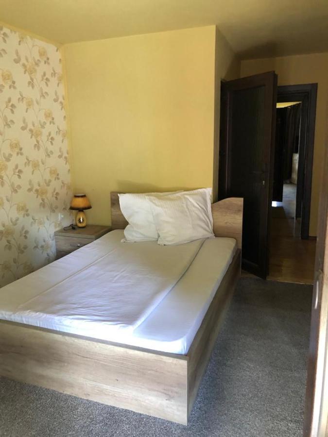 Pensiunea Mirela Pestera Ursilor Chiscau Buitenkant foto