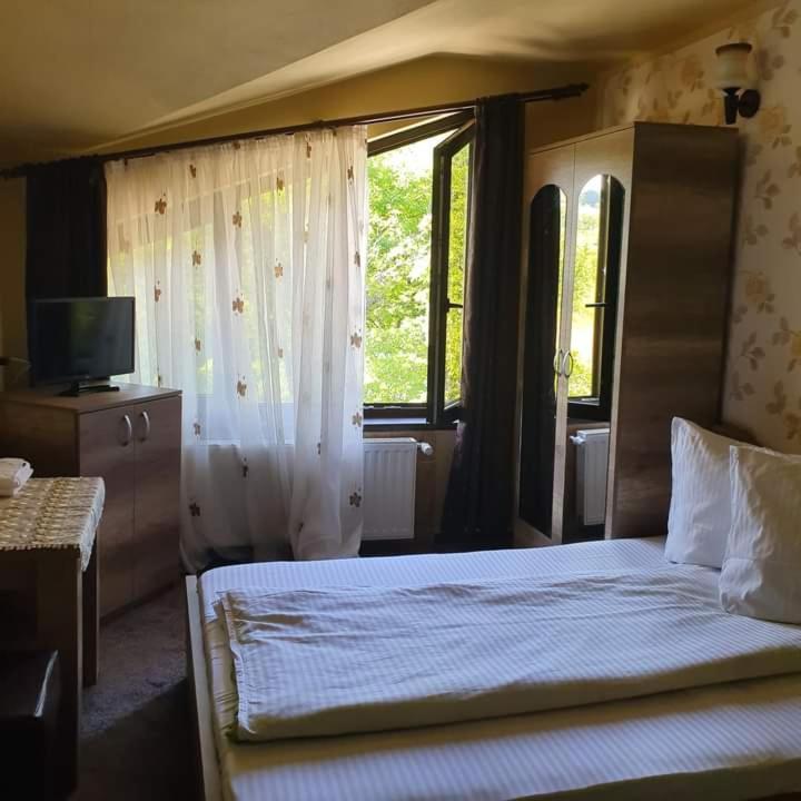 Pensiunea Mirela Pestera Ursilor Chiscau Buitenkant foto