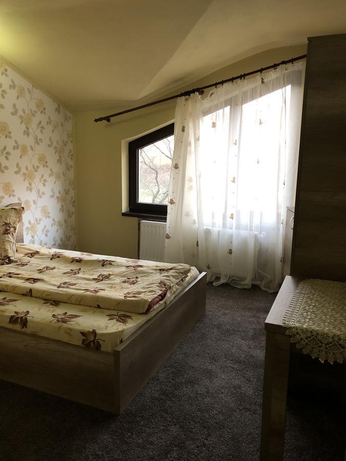 Pensiunea Mirela Pestera Ursilor Chiscau Buitenkant foto